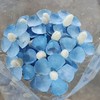永生花材丨紫罗兰蓝 商品缩略图0