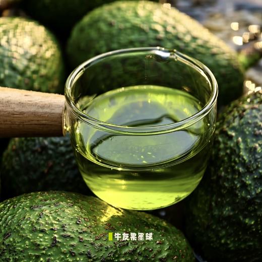 云南孟连特级初榨牛油果油100%牛油果油 物理冷榨工艺 商品图1