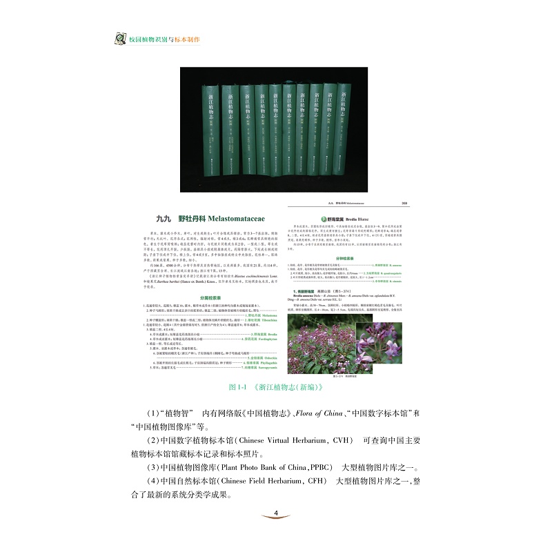 试读PDF-9787308272629(1-1)-校园植物识别与标本制作_010.jpg