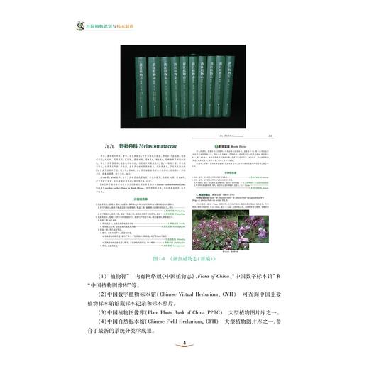 /校园植物识别与标本制作/浙江省普通本科高校“十四五”重点立项建设教材/蒋金火 姜维梅 李攀 著/浙江大学出版社 商品图4