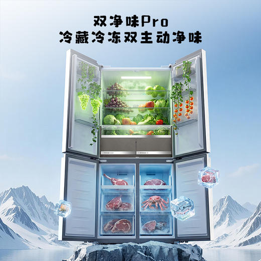 【新品上市】TCL方墩墩601升T9N十字对开双开四开门大容量双系统双净味零嵌新一级冰箱R601T9N-UQS 商品图5