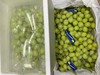 【限时上架】澳洲甜地球青提2kg 南半球的翠绿"甜宝石" 商品缩略图1