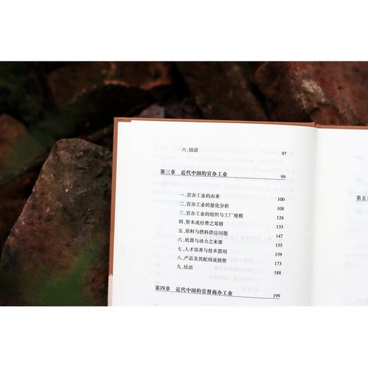 大学问·近代中国工业发展史（1860—1916）（著名历史学家张玉法先生学术代表作，吕芳上、张瑞德、王奇生等学者联袂推荐） 商品图3