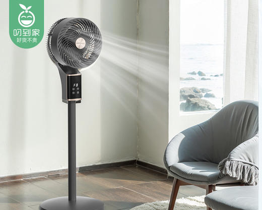 【预售-4月20日配送】Royalstar荣事达智能语音空气循环扇-深灰色（1台） 商品图2