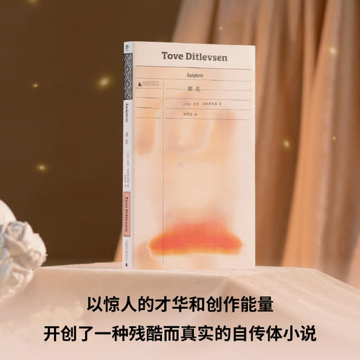 面孔（《哥本哈根三部曲》作者托芙·迪特莱弗森长篇代表作，理智地描摹疯狂，疏离地评估澎湃的情感：一位精神崩溃的女作家自我救赎的心灵之旅 商品图1