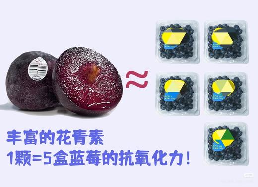 周四取货：【女王李】一盒1斤左右，脆嫩紧实，汁水充沛！ 商品图3