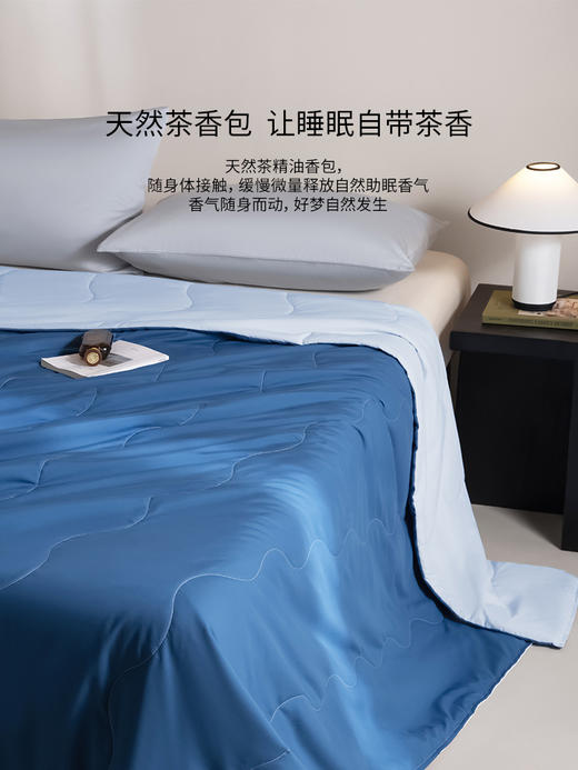 佳丽斯空调被夏被茶山A类抑菌夏季学生宿舍单人被子可机洗夏凉被 商品图3