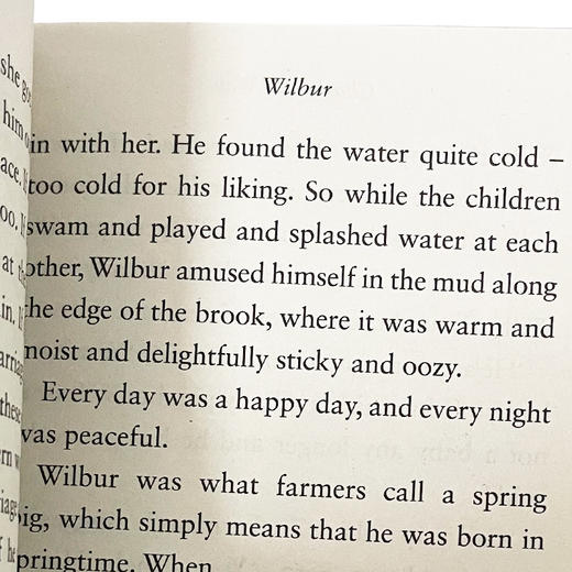 英版 夏洛特的网 英文原版 Charlotte's Web 夏洛的网 英语原版 儿童文学小说 进口英语课外阅读书籍 纽伯瑞奖 E B White 怀特 商品图3