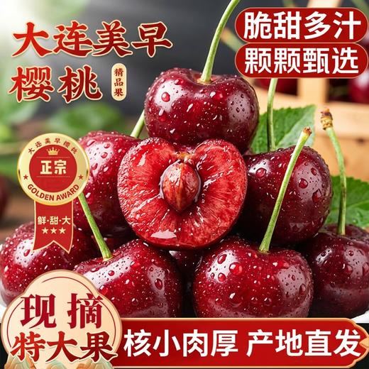 【大连美早樱桃】核心产区10年老树自然熟，原生态种植，无催熟无膨大剂。（72小时内发货，节假日顺延） 商品图0
