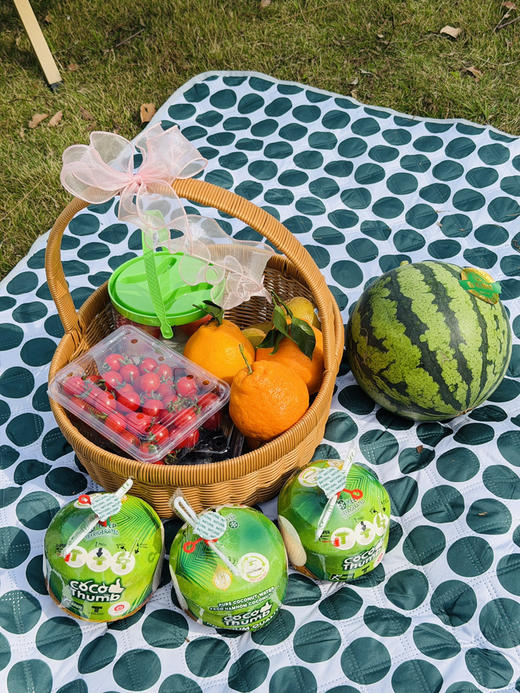 春游！K果推荐❗️家庭水果套餐 商品图0