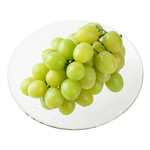 新鲜水果 脆爽清甜 皮薄无籽进口甜地球青提  15.8元/斤 （称重退差，多退少补） 商品图0