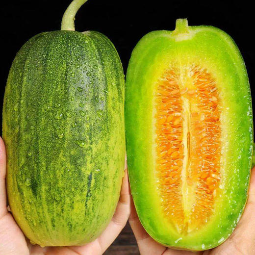 冰糖金冠甜瓜现摘现发顺丰包邮当季甜瓜香瓜新鲜应急水果口感脆甜多汁连皮带肉直接啃甜到你的心坎里 商品图4