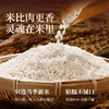 良品铺子【99元任选20件】绵绵豆沙粽100g（单拍不发货） 商品缩略图1