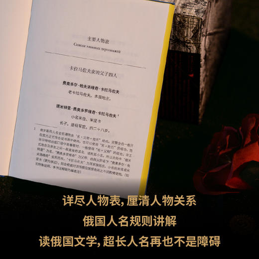 卡拉马佐夫兄弟（全4册文库本）（随身口袋书，布面刷边+精美书盒，耿济之经典译本+全新精校精注） 商品图2