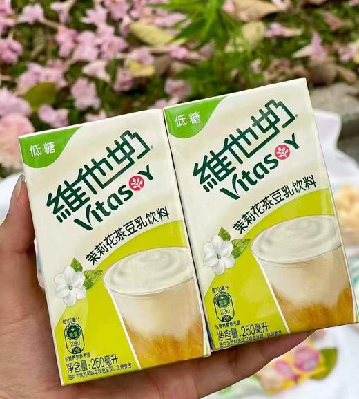 维他茉莉花茶豆乳250ml  （1*24）4891028730484 商品图0
