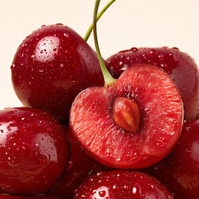 大连美早樱桃， “樱桃万千，大连真鲜” ，个头大、甜度高、果味浓，汁水多，风味好