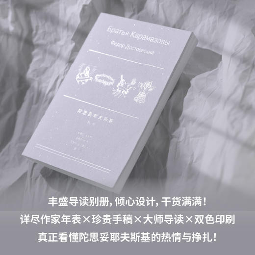 卡拉马佐夫兄弟（全4册文库本）（随身口袋书，布面刷边+精美书盒，耿济之经典译本+全新精校精注） 商品图3