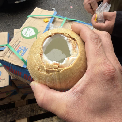 泰国奶香椰皇 白椰 中果 25.8/ 5 个口感好 推荐冰箱冷藏 商品图0