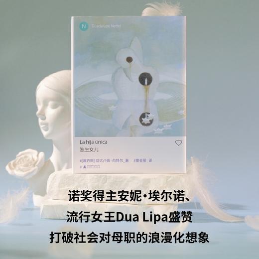 瓜达卢佩·内特尔作品集 独生女儿/红鱼之姻/真正的孤独 入围国际布克奖短名单 商品图2