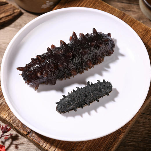 四季温补 八珍之首 刺粗肉厚 开袋即食不挂冰海参 大连原产有机辽参 商品图8