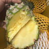 海南金钻 凤梨🍍 无酸 口感好 多汁 味浓 23.8/3个（约4.5-5斤上下） 商品缩略图0