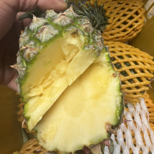 海南金钻 凤梨🍍 无酸 口感好 多汁 味浓 23.8/3个（约4.5-5斤上下） 商品图0