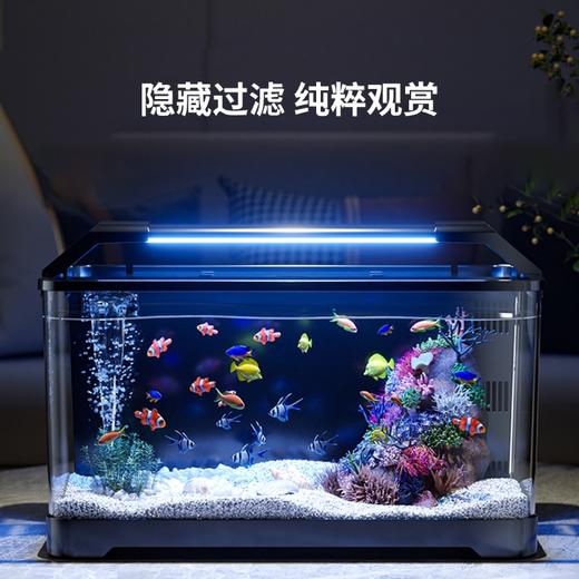 全格懒人鱼缸 商品图2