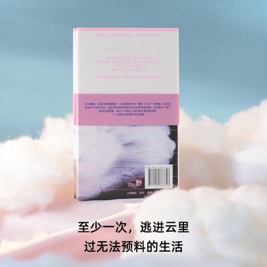 捕云记（《献灯使》系列，世界文学新标杆多和田叶子魅惑奇作，亲身经历改编小说！给逃避型人格和自毁冲动的保留地，现代人最后一场梦与冒险 商品图7