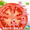 【预售】东滩沙瓤大番茄 商品缩略图3
