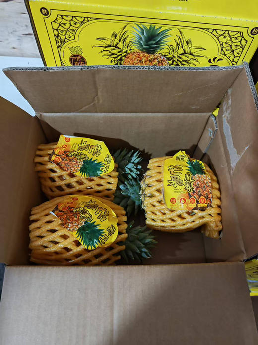 现货凤梨一箱（3个）
6斤左右 商品图11