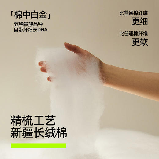 【新品上新】有棵树纯棉透气阿罗裤男士四角短裤2条装-U4010 商品图1