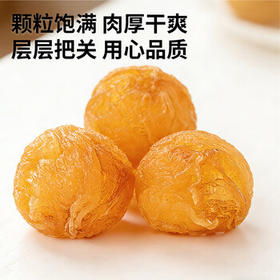 同仁堂品牌 北京同仁堂龙眼肉500g 桂圆肉干去核可搭枸杞菊花泡水养生茶