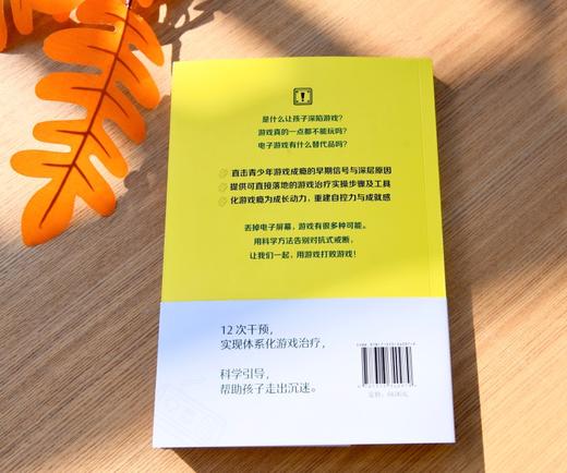 用游戏打败游戏 ：青少年游戏成瘾早期干预手册 商品图5