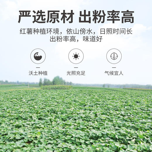 方家铺子红薯宽粉400g 商品图4