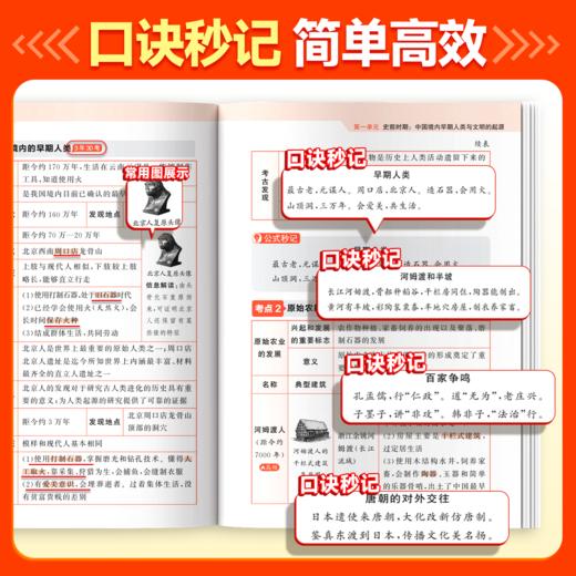 开卷速查：初中道德与法治+初中历史 商品图4