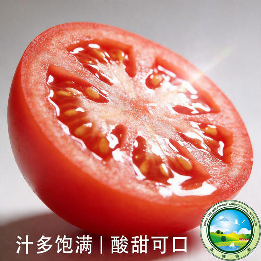 【预售】东滩沙瓤大番茄 商品图2