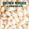 北纯有机糯米3斤/罐（圆粒 江米 黏米 粽子米 糯米小圆子 杂粮米 ） /粮油调味 /杂粮 /谷米类 商品缩略图0