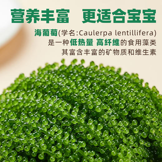 【颗颗爆珠❗️儿童即食海葡萄】源自深海「自带海洋风味」口感脆嫩爆珠，无额外添加，美味健康无负担，老少咸宜健康零食盐渍海葡萄新鲜水葡萄L-d 商品图3