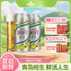 【肖战同款 全国仓】青岛啤酒纯生500ml*18听 青岛啤酒博物馆官方旗舰店 商品缩略图0