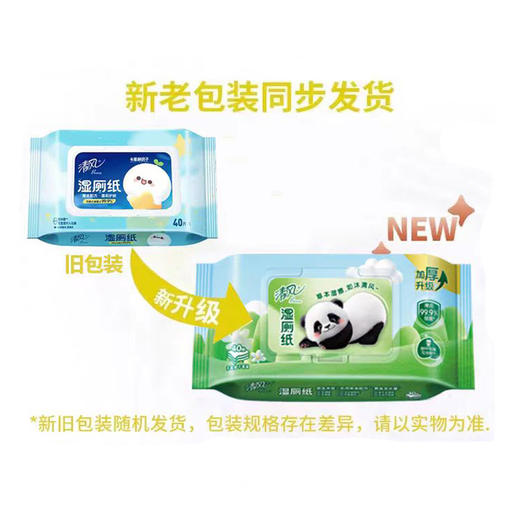 清风草本40片湿厕纸BWB40W2 商品图0