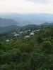 2026头春古树【岩子头】石缝里长出来的镇康顶流！ 商品缩略图3