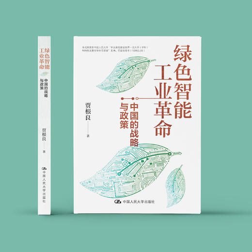 《绿色智能工业革命：中国的战略与政策》 商品图1