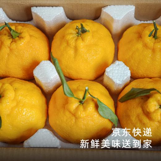 艾格吃饱了2026年四川柠檬不知火果香清冽 商品图4