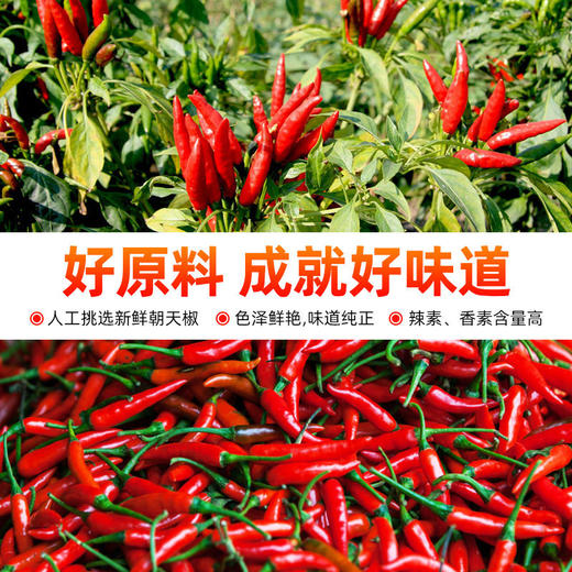 正宗佳丰沙县辣椒酱小吃专用下饭菜鲜细蒜蓉福建特辣石磨无油辣酱 商品图2