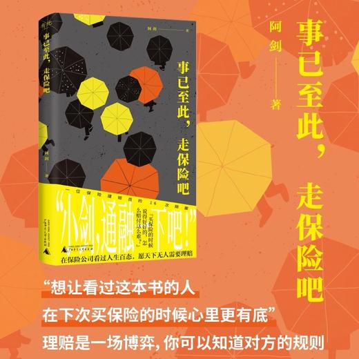 事已至此，走保险吧（保险理赔员的非虚构作品，用理赔案件见证身边的“人情味儿”；理赔是一场博弈，你可以知道对方的规则） 商品图0