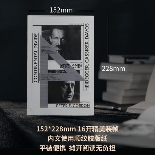 欧陆分野：海德格尔与卡西尔在达沃斯（陈嘉映推荐；世界陷入危机，思想如何突围？“人，意味着什么？”哲学史上的大地震，人性就此分道扬 商品图3