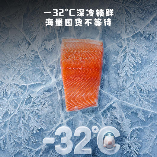 【新品上市】TCL方墩墩601升T9N十字对开双开四开门大容量双系统双净味零嵌新一级冰箱R601T9N-UQS 商品图8