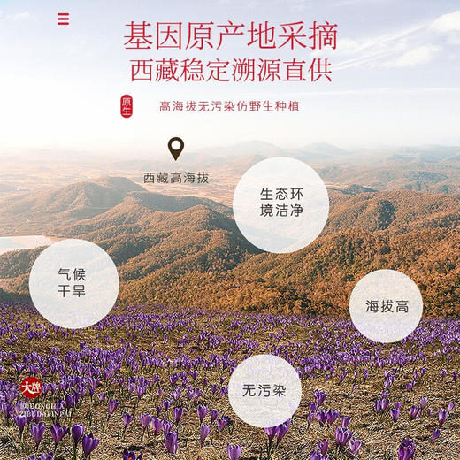 福东海 藏红花5g 精选西红花全长红丝 手工挑选番红花礼盒装礼品 送镊子 商品图6