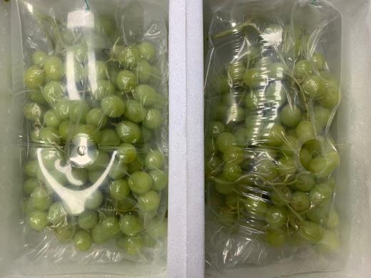 【限时上架】澳洲甜地球青提2kg 南半球的翠绿"甜宝石" 商品图2