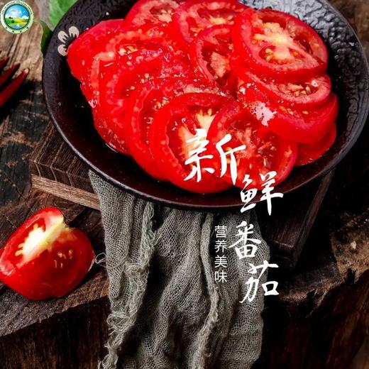 【预售】东滩沙瓤大番茄 商品图0